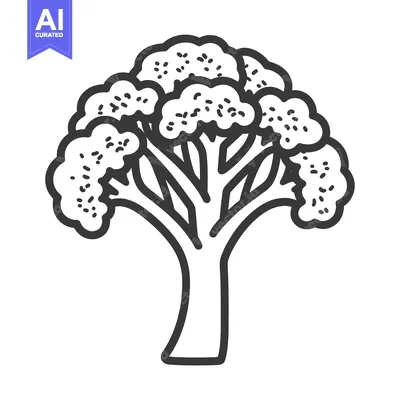 Popular premium asset: Hand-Drawn Line Art Illustration of a Broccoli Floret