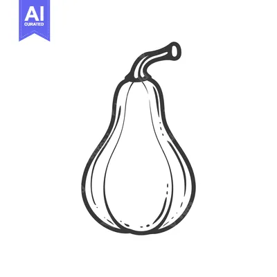 Aset premium populer: Hand-drawn Line Art Illustration of a Butternut Squash