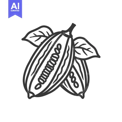 Aset desain premium: Hand-drawn line art illustration of a cocoa pod