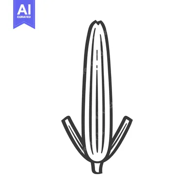 Aset desain premium: Hand-drawn line art illustration of a corn cob