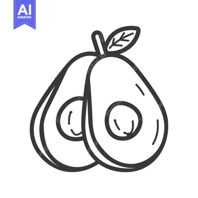Aset premium populer: Hand-drawn Line Art Illustration of a Halved Avocado with a Leaf