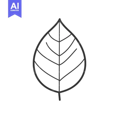 Popular premium asset: Hand-Drawn Line Art Illustration of a Single Leaf