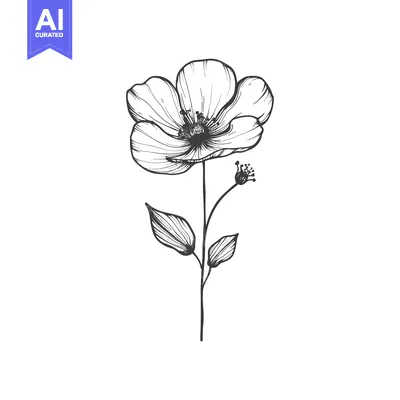 Aset premium populer: Hand-Drawn Line Art Illustration of a Single Poppy Flower