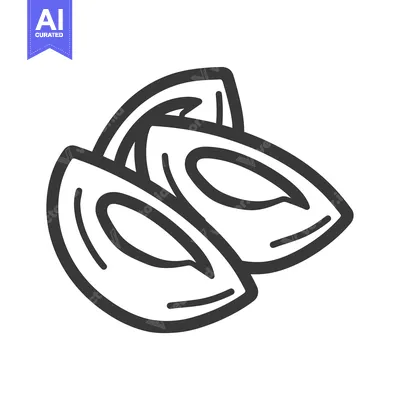Hand-drawn Line Art Illustration of Three Almond Halves