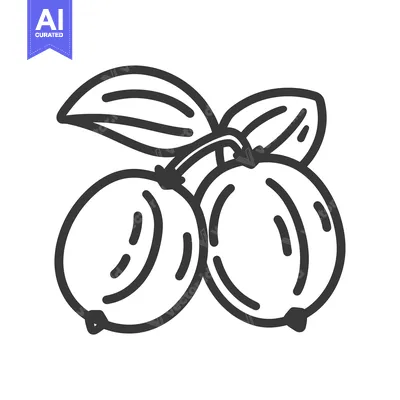 Aset premium populer: Hand-Drawn Line Art Illustration of Two Gooseberries with Leaves
