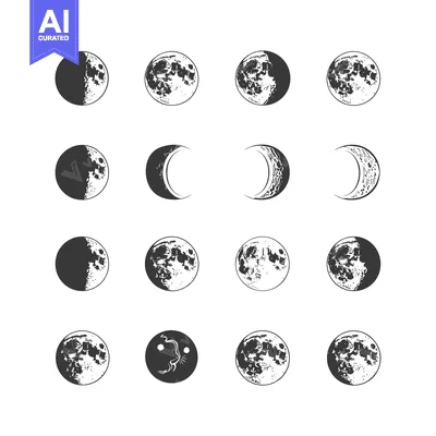 Popular premium asset: Hand-drawn Monochrome Illustrations of the Lunar Cycle
