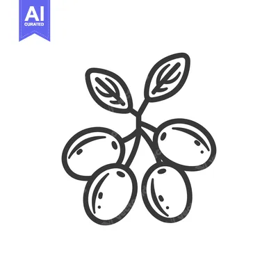 Aset premium populer: Hand-drawn outline illustration of a branch of coffee beans