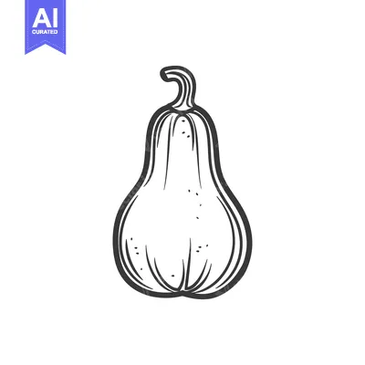 Aset desain premium: Hand-Drawn Outline Illustration of a Butternut Squash