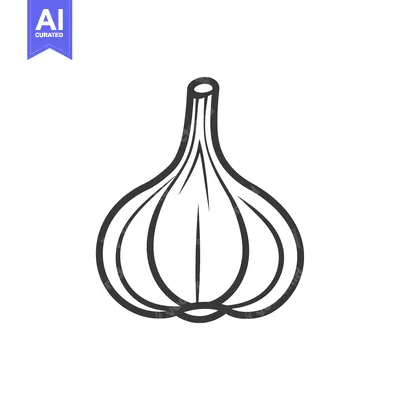 Premium design asset: Hand Drawn Outline Illustration of a Garlic Bulb