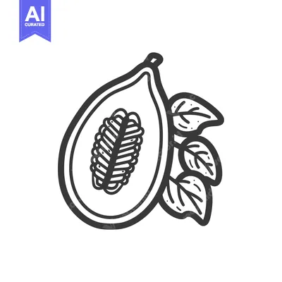 Aset desain premium: Hand-Drawn Outline Illustration of a Half Papaya with Leaves