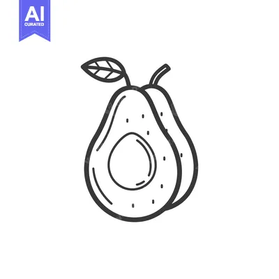 Aset premium populer: Hand-drawn outline illustration of an avocado with a leaf