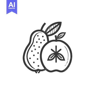 Aset premium populer: Hand-drawn outline illustration of a pear and an apple