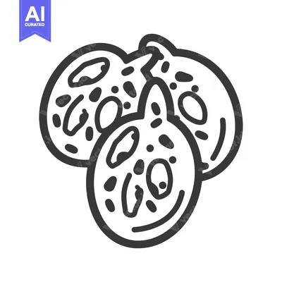 Popular premium asset: Hand-drawn outline illustration of three whole figs
