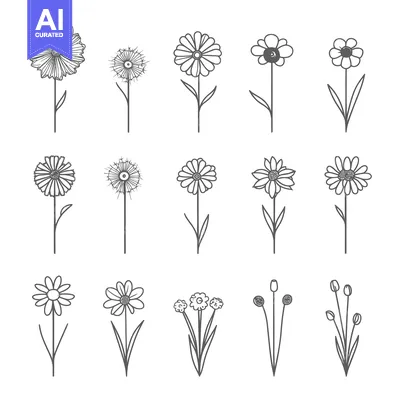 Aset desain premium: Hand-drawn Outline Illustrations of Various Flowers
