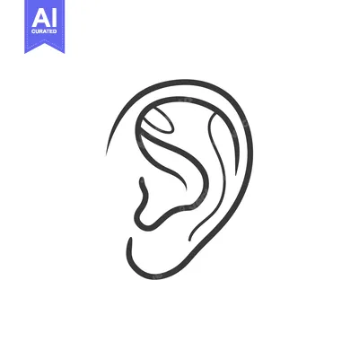 Popular premium asset: Hand-drawn Outline of a Human Ear