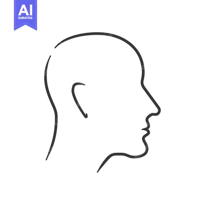 Aset premium populer: Hand-drawn outline of a human head in profile