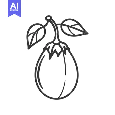 Aset desain premium: Hand-drawn outline of an eggplant with leaves