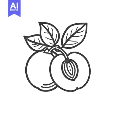Aset premium populer: Hand-Drawn Outline of a Peach with Leaves