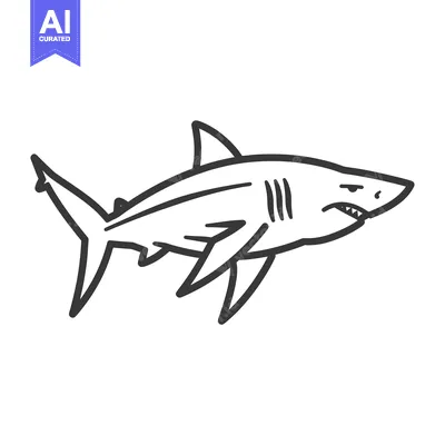 Aset desain premium: Hand-drawn Outline of a Shark with Open Mouth and Teeth