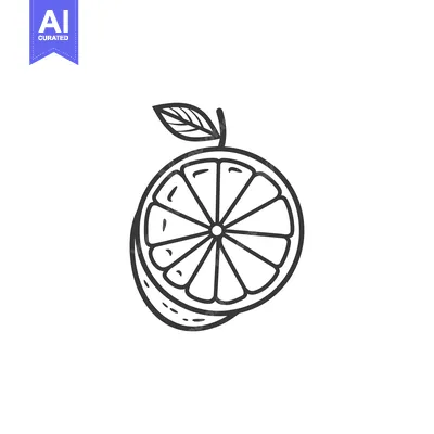 Hand-drawn Outline of a Single Slice of Orange with a Leaf