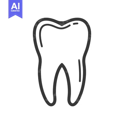 Hand-Drawn Outline of a Single Tooth