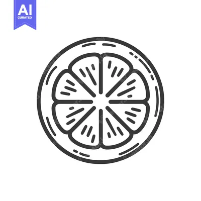 Aset premium populer: Hand-Drawn Outline of a Sliced Orange