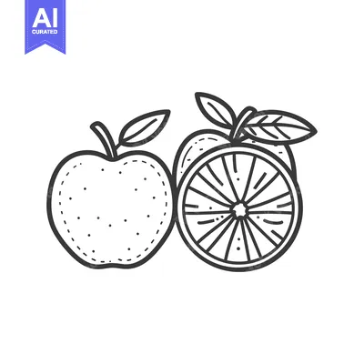 Aset premium populer: Hand-drawn outline of a whole apple and an orange slice