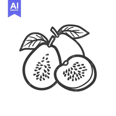 Aset desain premium: Hand-drawn Outline of Guava with Seeds and Leaf