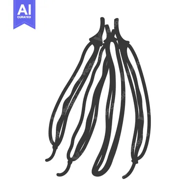 Premium design asset: Hand-drawn silhouette of a bunch of string beans