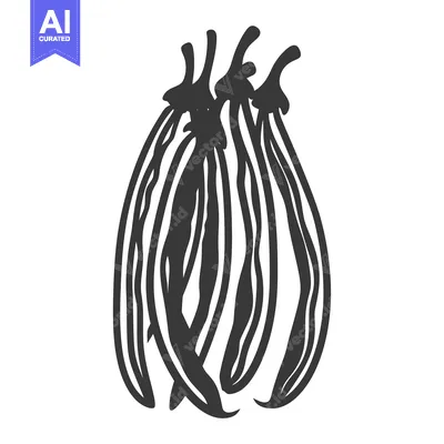 Aset premium populer: Hand-Drawn Silhouette of Green Beans in a Bundle