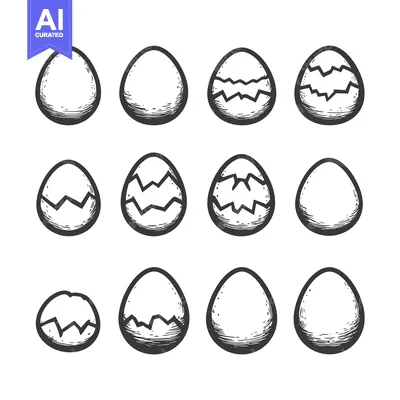 Aset desain premium: Hand-Drawn Sketches of Eggs in Various Stages of Cracking