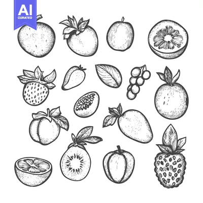 Popular premium asset: Hand-Drawn Sketches of Various Fruits and Berries