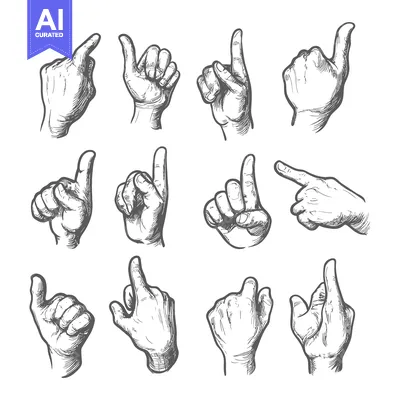 Premium design asset: Hand Drawn Sketches of Various Hand Gestures, Pointing and Indicating