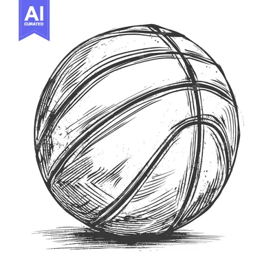 Aset desain premium: Hand-drawn Sketch of a Basketball with Detailed Lines and Texture