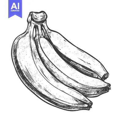 Aset premium populer: Hand-Drawn Sketch of a Bunch of Ripe Bananas