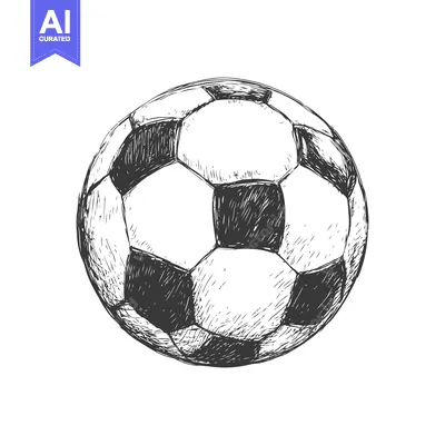Aset desain premium: Hand-Drawn Sketch of a Classic Black and White Soccer Ball