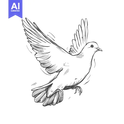Aset desain premium: Hand-Drawn Sketch of a Dove in Flight