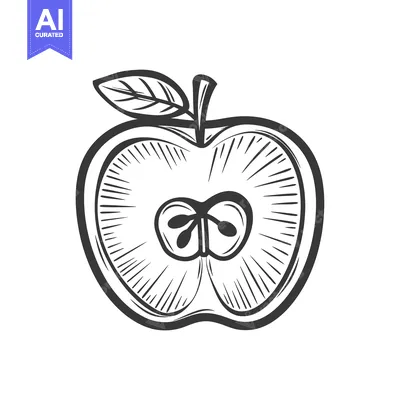 Aset premium populer: Hand-drawn Sketch of a Halved Apple with a Leaf
