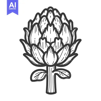 Aset premium populer: Hand-Drawn Sketch of an Artichoke Plant