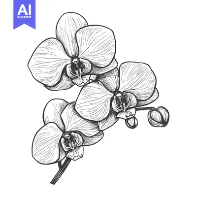 Aset premium populer: Hand-drawn sketch of an orchid flower with intricate details