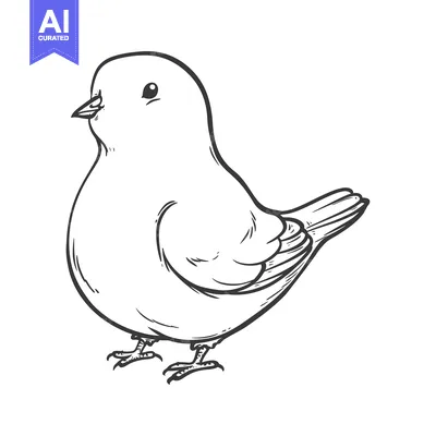 Popular premium asset: Hand-drawn sketch of a plump bird with small legs and a beak