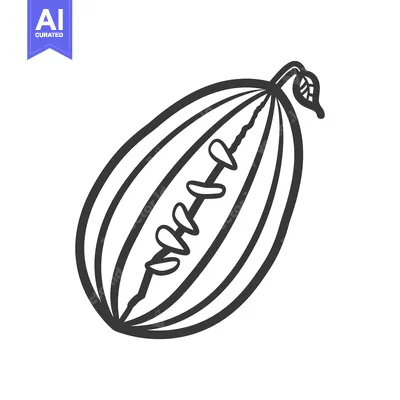 Aset premium populer: Hand-Drawn Sketch of a Watermelon with Seeds and a Stem