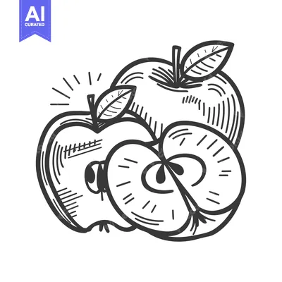 Popular premium asset: Hand-drawn sketch of a whole apple and a sliced apple