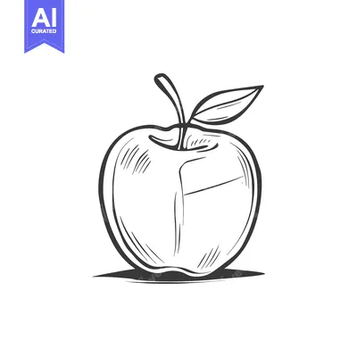 Aset desain premium: Hand-Drawn Sketch of a Whole Apple with a Leaf