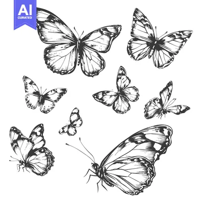 Popular premium asset: Hand-Drawn Sketch of Seven Black and White Butterflies