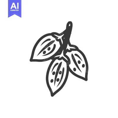 Popular premium asset: Hand-Drawn Sketch of Three Black Peppercorns