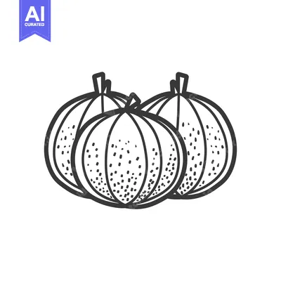 Aset desain premium: Hand-drawn Sketch of Three Pumpkins