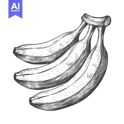 Premium design asset: Hand-Drawn Sketch of Three Ripe Bananas