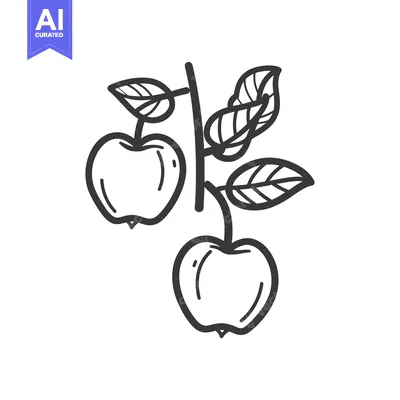 Popular premium asset: Hand-Drawn Sketch of Two Apples on a Branch with Leaves