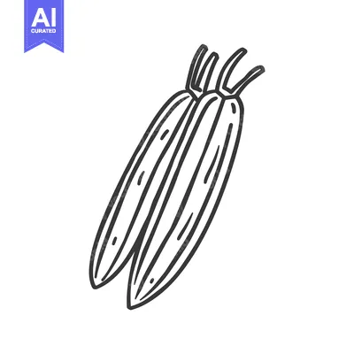 Aset desain premium: Hand-Drawn Sketch of Two Corn Cobs
